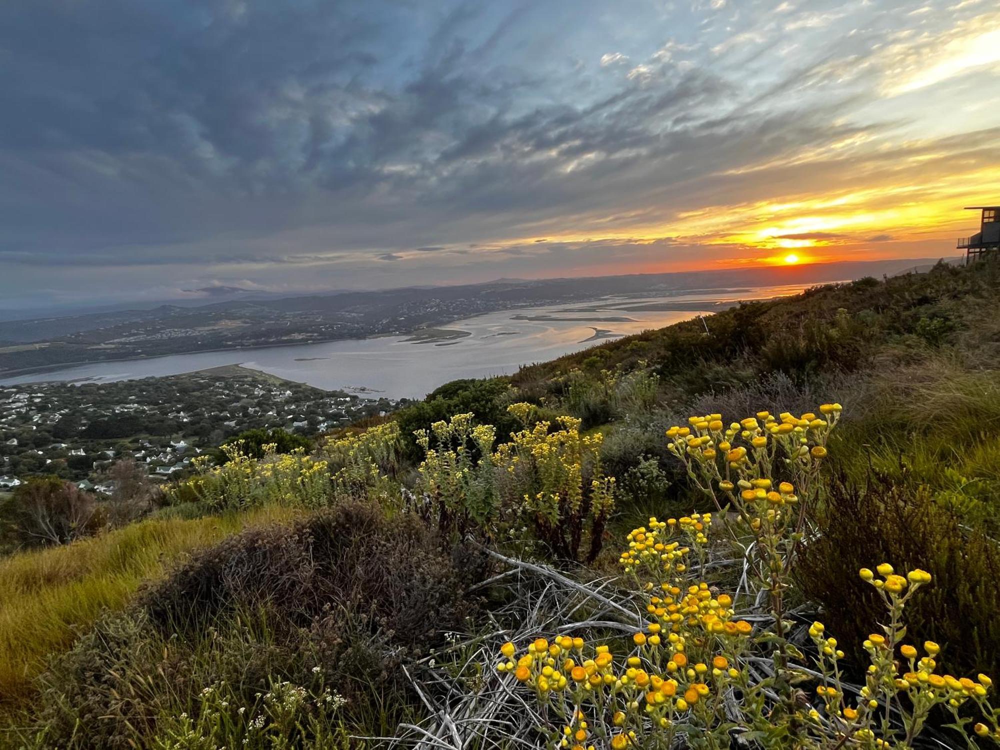 Die Uitzicht Guesthouse - Knysna Buitenkant foto